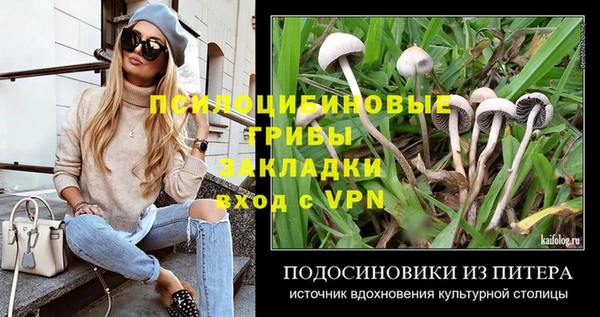 винт Володарск