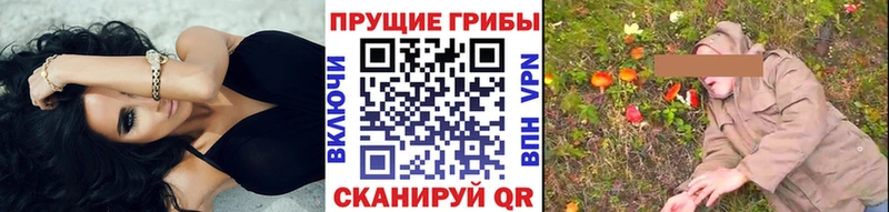 Псилоцибиновые грибы Cubensis Вышний Волочёк