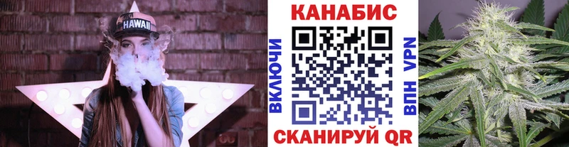 дарнет шоп  Вышний Волочёк  кракен ССЫЛКА  Бошки марихуана конопля 